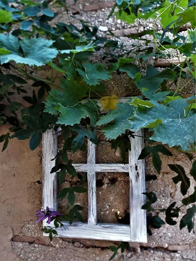 Little Vine Bed and Breakfast Sant Pere De Ribes