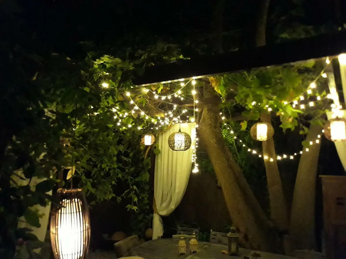 Little Vine Bed & Breakfast Sant Pere De Ribes Spain